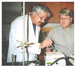 Figura 15. Jeff Sahagun y David Maynard preparan un potente adhesivo hecho con copal.