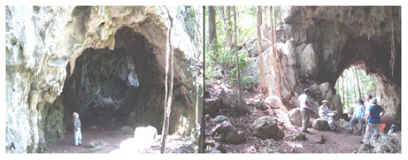 Figure 3. Views into Actun Halal from Entrance 1 (left) and Entrance 2 (right).