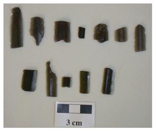 Figure 3. Prismatic Blades from Los Horcones.