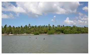 Figure 13. The Central Group, as seen from the lagoon (viewing east).