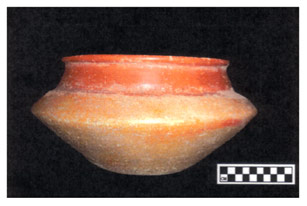 Figure 1a. Middle Preclassic Majan Red Vessel.