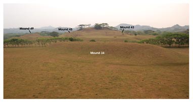 Figure 17. Photograph of the Acropolis from the top of Mound 32, highlighting prominent mounds (facing north).