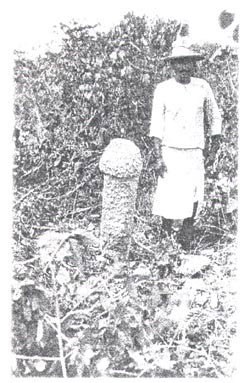 Figure 3. Chich&eacute;n Itz&aacute; stone phallus. Date: Terminal Classic. Photo from Peabody Museum photo archives, Harvard University CIW 31-0-64.