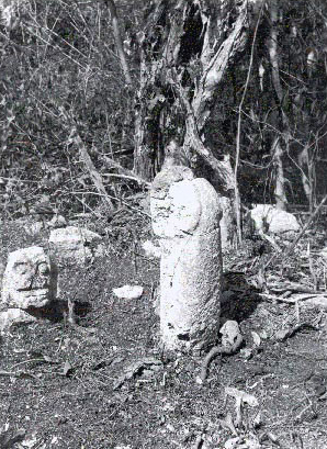 Figure 4. Chich&eacute;n Itz&aacute; stone phallus from terrace of Structure 3E6-3E7. Date: Terminal Classic. Photo from Peabody Museum photo archives, Harvard University CIW 46-8-90.