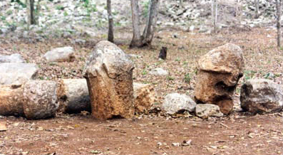 Figure 5. Uxmal sculpted limestone phalli.