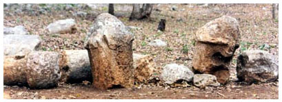 Figure 5. Uxmal sculpted limestone phalli.