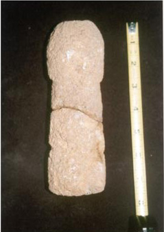 Figure 7. Oxkintok sculpted limestone phallus. Height: 7" Diameter: 2.4" Date: Late Classic/Terminal Classic. Bodega of the Museo Regional de Antropolog&iacute;a, M&eacute;rida, Yucat&aacute;n.