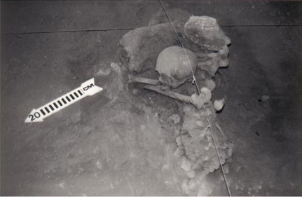 Figura 10. Entierro 22, adulto sedente, de la Cámara 5 de la Cueva del Pirul. Figura 10. Entierro 22, adulto sedente, de la Cámara 5 de la Cueva del Pirul.