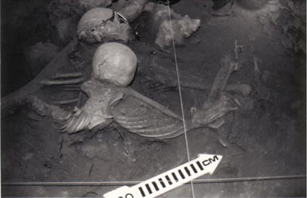 Figura 12. Entierro 25 (infantil) sobre el hombro del Entierro 27 (adulto joven), de la Cámara 5 de la Cueva del Pirul. Figura 12. Entierro 25 (infantil) sobre el hombro del Entierro 27 (adulto joven), de la Cámara 5 de la Cueva del Pirul.