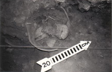 Figura 13. Entierro 26, neonato sobre fondo de olla, de la Cámara 5 de la Cueva del Pirul. Figura 13. Entierro 26, neonato sobre fondo de olla, de la Cámara 5 de la Cueva del Pirul.
