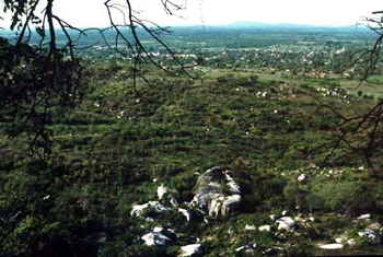Transparencia 4: Vista de las grandes piedras del Área A desde el Cerro San Vicente