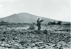 Area North of Cerro Teponaztle Prior to Reforestation, Cerro Teponaztle in the Background. Note Eroded Tepetate Surface, and Remnants of Aztec Residential Mound.