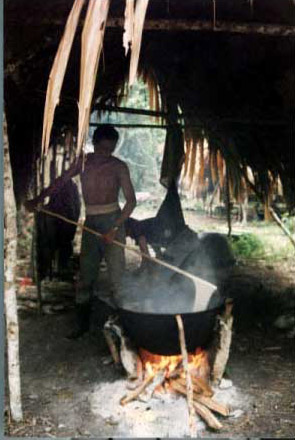 Figure 3. La Toronja, chicle gathering camp. Figure 3. La Toronja, chicle gathering camp.