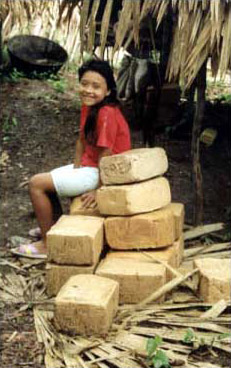 Figure 4. Blocks or marquetas of cooked and molded gum. Figure 4. Blocks or marquetas of cooked and molded gum.