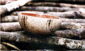 Figure 12. Bowl used to pour water in the camp's "dishwasher". (Los Pichos)