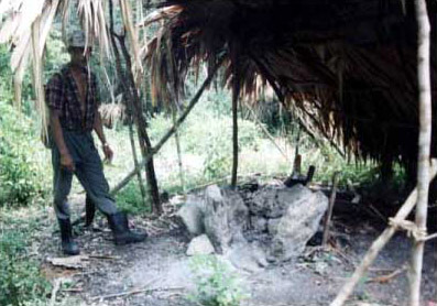 Figure 13. Broken stela cut in pieces to build a hearth to cook chicle. Stelae are often re-used to construct other facilities because of their ready-to-use slab shape. (El Suspiro camp, abandoned in August 1996.)