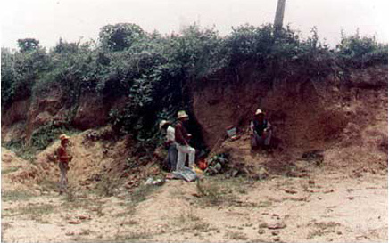 Figure 1.2. The initial discovery of RARO-154 in the gravel pit wall.