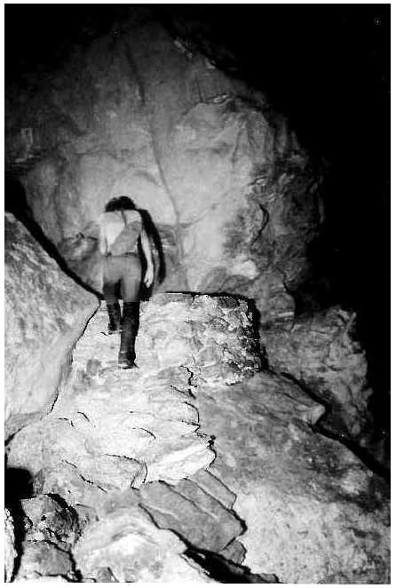 Figure 2: Masonry stairs and retaining wall, main entrance, Petr&oacute;glyph Cave, Belize