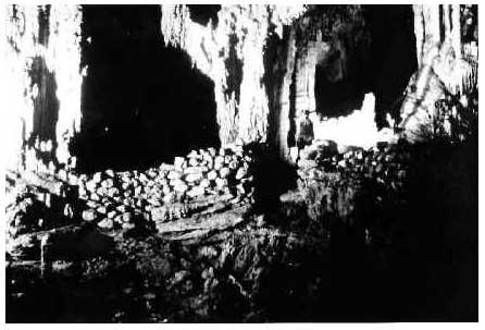 Figure 3: Constructed wall with central opening - entrance, Actun Zactun, Chiquibul System, Guatemala