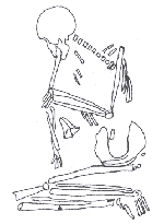 Link to Drawing 14. C.B.R.S. Unidad 6. Entierro 11. Link to Drawing 14. C.B.R.S. Unidad 6. Entierro 11.