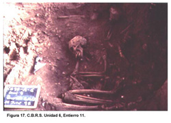 Link to Figure 17. C.B.R.S. Unidad 6, Entierro 11.