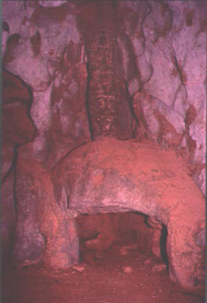 Figura 30. Te Tun Cave. Figura 30. Te Tun Cave.