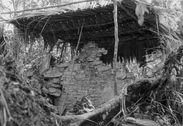 Figure 9: Protective shelter constructed over southern wall of central room, Structure 1, La Pasadita.