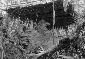 Figure 9: Protective shelter constructed over southern wall of central room, Structure 1, La Pasadita.
