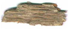 Fragmento de una parihuela de madera, Tumba 2, Chan Chich, Belice