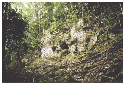 Figure 11. Giant mask built with masonry block on east face of Building A, Group II (photo by J. Gonzalez). Figure 11. Giant mask built with masonry block on east face of Building A, Group II (photo by J. Gonzalez).