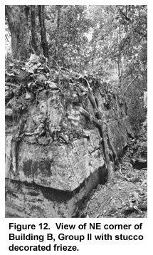 Figure 12. View of NE corner of Building B, Group II with stucco decorated frieze. Figure 12. View of NE corner of Building B, Group II with stucco decorated frieze.