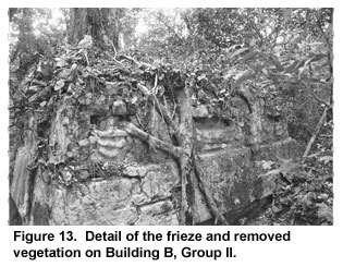 Figure 13. Detail of the frieze and removed vegetation on Building B, Group II. Figure 13. Detail of the frieze and removed vegetation on Building B, Group II.
