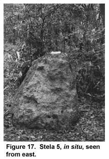 Figure 17. Stela 5, in situ, seen from east.