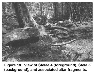 Figure 18. View of Stelae 4 (foreground), Stela 3 (background), and associated altar fragments.