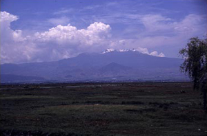 Chignahuapan Marsh, Santa Cruz Atizapan, State of México