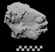 Figure 3:24 - This figure has been identified as a captive, based on his overall size and form with other figures in the collection. Figure 3:24 - This figure has been identified as a captive, based on his overall size and form with other figures in the collection.