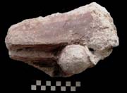 Figure 3:33 - A miscellaneous decorative piece with a large bead. There is a red stripe painted along a cream/tan background. Figure 3:33 - A miscellaneous decorative piece with a large bead. There is a red stripe painted along a cream/tan background.