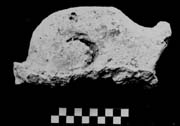 Figure 3:36 - This is a profile of a miscellaneous decorative piece that projected from the façade. Figure 3:36 - This is a profile of a miscellaneous decorative piece that projected from the façade.