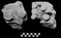 Figure 3:41 - Miscellaneous decorative designs. Figure 3:41 - Miscellaneous decorative designs.