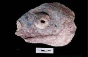 Figure 3:45 - Misc. decorative piece. Figure 3:45 - Misc. decorative piece.