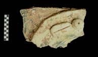 Figure 3:5 - An adorno with an elongated attachment having an incised center line.