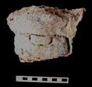 Figure 3:67 - This piece may represent the eye of a saurian. The main surface is delineated by deeply incised lines to signify the eye. Figure 3:67 - This piece may represent the eye of a saurian. The main surface is delineated by deeply incised lines to signify the eye.