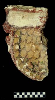 Figure 3:69 - This piece was recovered by the field school in LA 1319. It may represent a limb of a saurian, and is painted in the same way as Figures 3:68 and 3:70. The detail on this small piece is quite exceptional, and gives an indication of the elaborateness of the façade in general. It is evident from this piece that emphasis was not just on sculpture, but on fine detail throughout the entire program. Figure 3:69 - This piece was recovered by the field school in LA 1319. It may represent a limb of a saurian, and is painted in the same way as Figures 3:68 and 3:70. The detail on this small piece is quite exceptional, and gives an indication of the elaborateness of the façade in general. It is evident from this piece that emphasis was not just on sculpture, but on fine detail throughout the entire program.