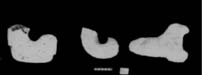 Figure 3:73 - The two examples on the left represent mouth curls. The example on the right is a stone armature. Figure 3:73 - The two examples on the left represent mouth curls. The example on the right is a stone armature.