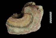 Figure 3:74 - This fragment may represent a mouth curl, and is painted in at least three colors. Figure 3:74 - This fragment may represent a mouth curl, and is painted in at least three colors.