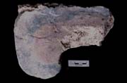 Figure 3:75 - This may be a possible mouth curl, and forms a pictorial grouping with Figures 3:76 and 3:77. It is painted in three colors, and the blue stripe has a darker shade of blue within it. Figure 3:75 - This may be a possible mouth curl, and forms a pictorial grouping with Figures 3:76 and 3:77. It is painted in three colors, and the blue stripe has a darker shade of blue within it.