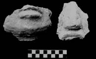 Figura 3:10 - Fragmentos de rostros.