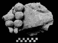 Figura 3:30 - Se cree que esta pieza tambi&eacute;n forma parte del pectoral con cuentas de jade&iacute;ta de la figura central.