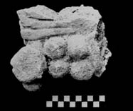 Figura 3:31 - Se cree que &eacute;ste es un fragmento del pectoral con cuentas de jade&iacute;ta de la figura central, en base a la morfolog&iacute;a comparativa.