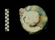 Figura 3:39 - Una pieza decorativa mixta, con una gran cuenta en el centro.